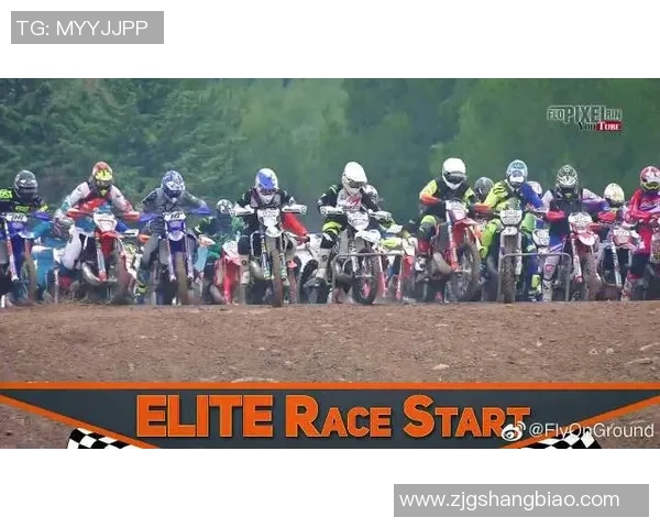 上海极限运动队创历史新高耐力排名引发广泛关注与热议